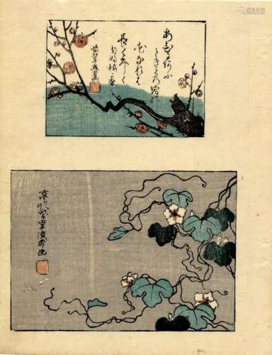 Japanische Holzschnitte,  Einzelbuchseite, Meiji