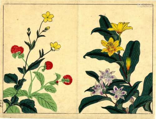 Japanische Holzschnitte,  Blumen (Albumseite) Meiji