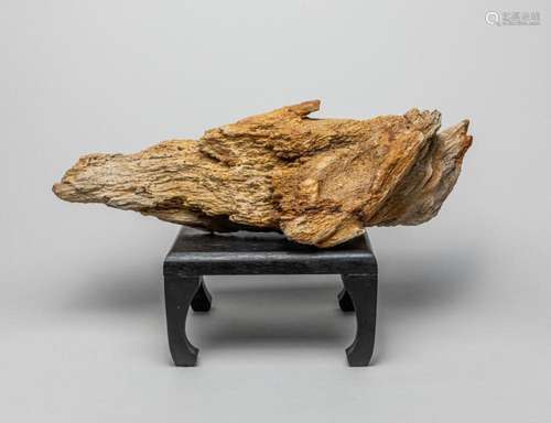 Petrified Wood Table Sculpture