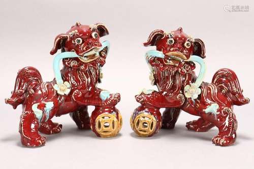 Large Pair of Chinese Shiwan Fo Dogs,