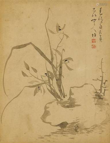 文潛(清)　墨蘭 | Wen Qian (Qing Dynasty), Ink Orchid