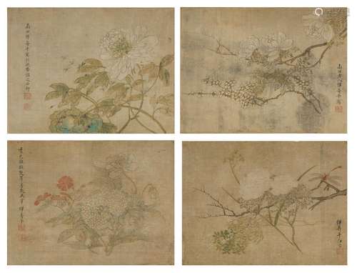 惲壽平(款)　花卉  | Attributed to Yun Shouping, Flowers