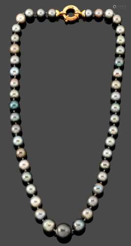 Collier de perles de culture de Tahiti. 
En chute, ferm