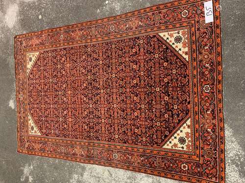 Tapis Sarouk (chaîne et trame en coton, velours en lain