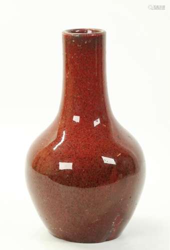 Chinese 19th C Red Crackle Porcelain Vase