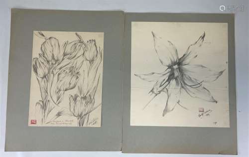 Lot (15) de dessins "étude de fleurs" vers 1920
Po...