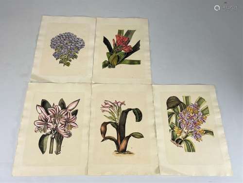 Technique mixte "étude de fleurs vers 1900"
Poids:...