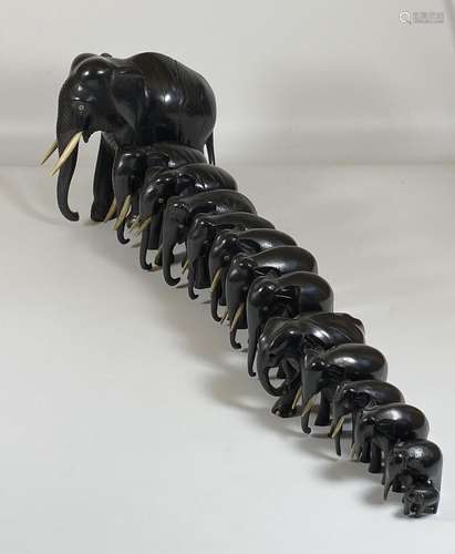 A SET OF FOURTEEN ANTIQUE EBONISED / EBONY ELEPHANTS, LARGES...