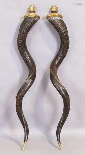 A pair of kudu horn wall lights in the manner of Anthony Red...