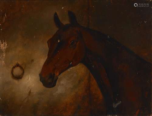 George Wright, British 1860-1942- Head of a chestnut horse; ...