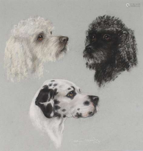 Carolyn Alexander, British b.1948- Two Poodles and a Dalmati...