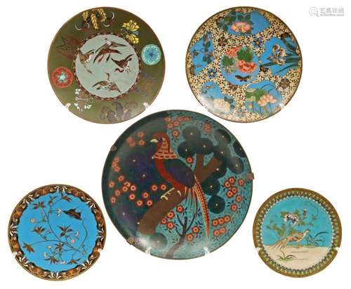 5 CLOISONNE ENAMEL CHARGERS