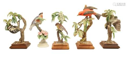 5 DOROTHY DOUGHTY PORCELAIN BIRD MODELS