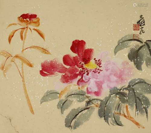 张大千 1899-1983 花卉