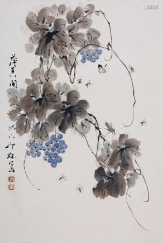 萧朗 1917-2010 葡萄草虫