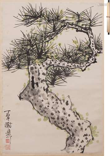 謝稚柳 松 設色紙本
