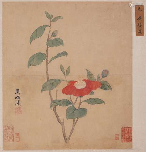 吳梅溪 花卉図 設色紙本