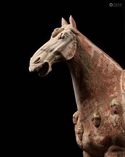 A PAINTED AND GILT POTTERY FIGURE OF A PRANCING HORSE, TANG ...