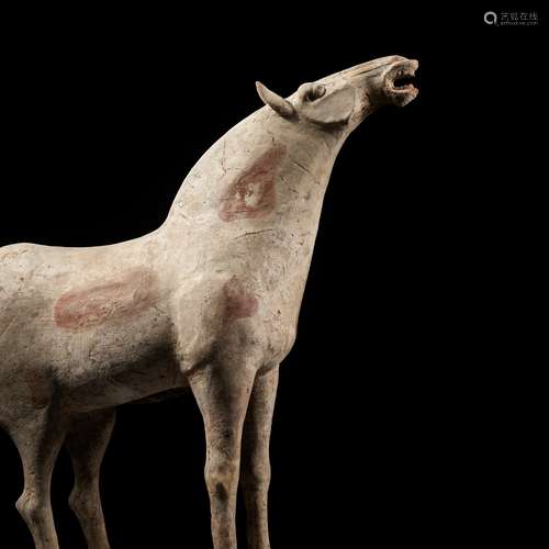 A RARE PAINTED POTTERY FIGURE OF A PIEBALD HORSE, TANG DYNAS...