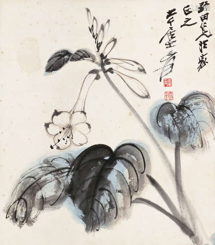 张大千［1899-1983］ 玉簪花