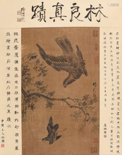 林良（款） (1428-1494) 苍鹰捕禽图