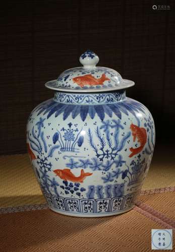 AN IRON-RED BLUE AND WHITE JAR,MARK AND PERIOD OF MING
