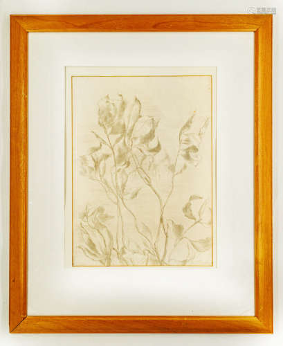 Josef Pieper 约瑟夫·皮尔珀  表现主义原框素描│巨幅植物素描