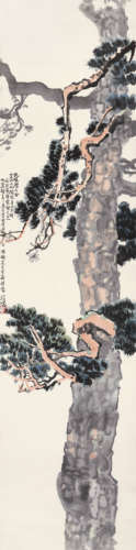 徐悲鸿 （1895-1953） 虬枝老松  设色纸本 立轴