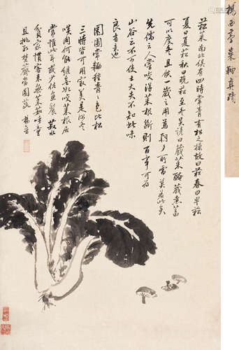 杨晋 （1644-1728） 园圃滋味  水墨纸本 镜心