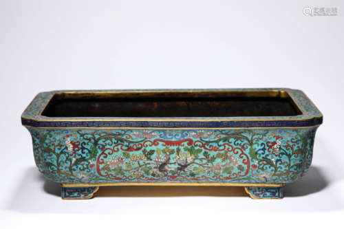 A Cloisonne Enamel Interlock Branches Jardinierre