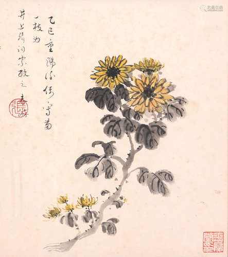 张伯驹 菊花 纸本设色镜框