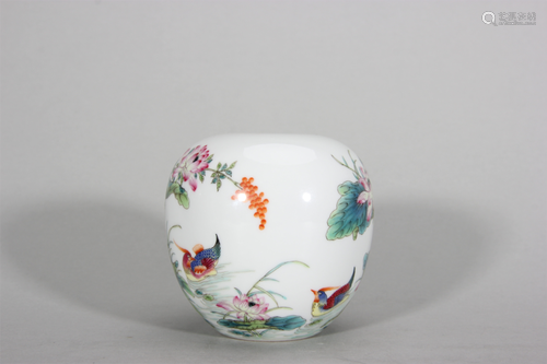 A famille rose flower porcelain water pot,Qing Dynasty,China