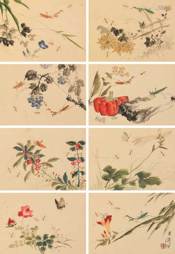 王雪涛(1903-1983)花卉草虫八帧