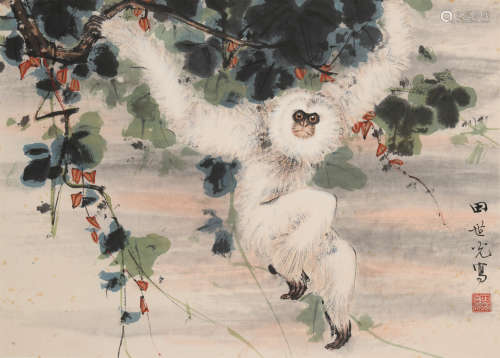 田世光(1916-1999)猿戏