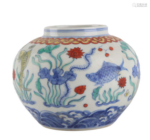 A Blue And White Doucai Fish Jar