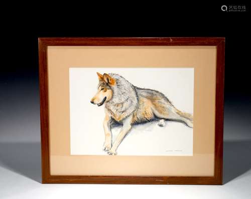 Timber Wolf Watercolor Painting By Dennis Tyler