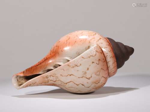 Porcelain conch Chinese Qing Dynasty