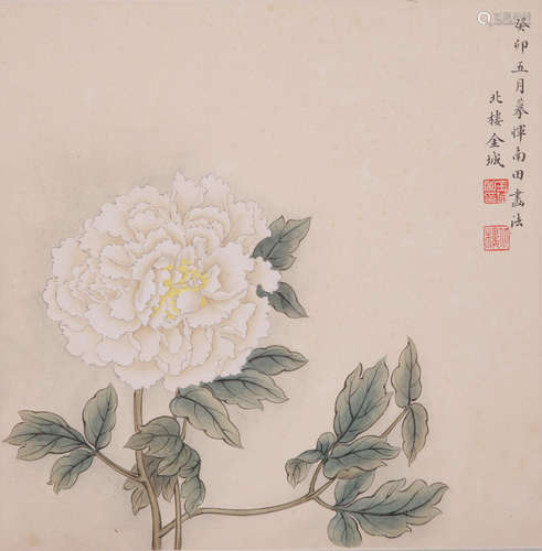 Jin cheng(金城)Peony