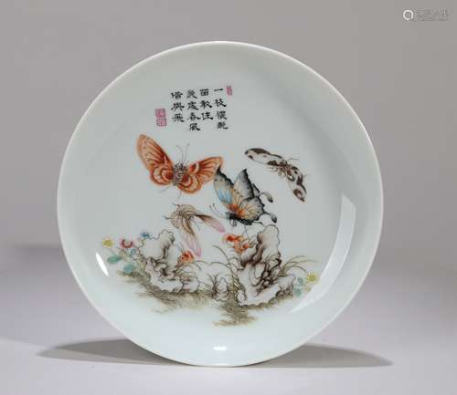 Painted butterfly porcelain plate Chinese Qing Dynasty