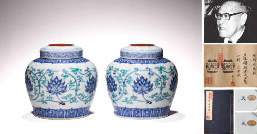 A PAIR OF DOUCAI LOTUS JARS