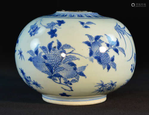 Chinese Ming Blue White Porcelain Vase