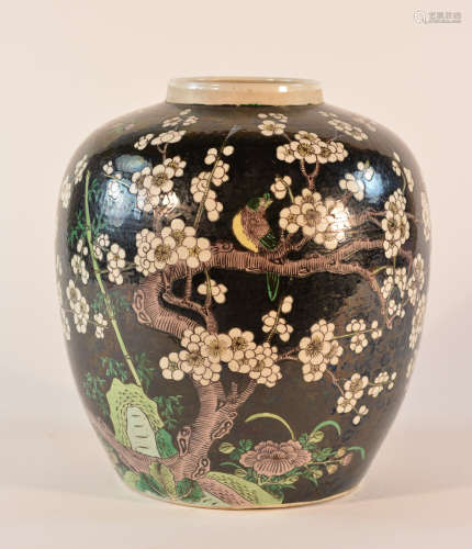Chinese Famille Noire Porcelain Jar