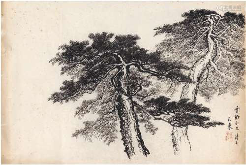 陈巨来（1905～1984） 双松图