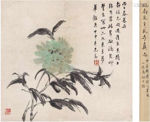 杨冠南（1893～1952） 芍药图