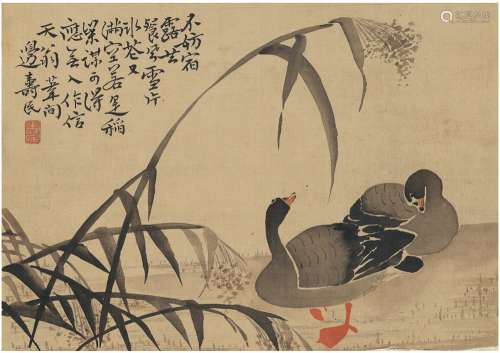 边寿民（1684～1752） 水岸双鹜图