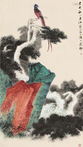 江寒汀  丁酉（1957）年作 盘石松寿 镜片 设色纸本