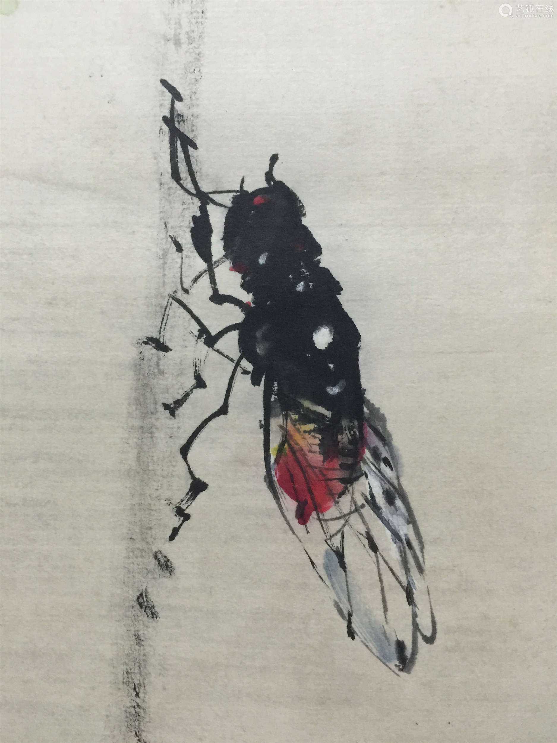 赵少昂蝉纸本立轴原装旧裱