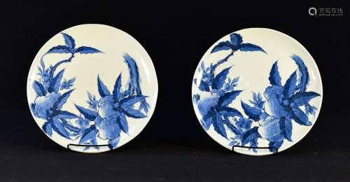 Pair Asian Blue White Porcelain Dishes