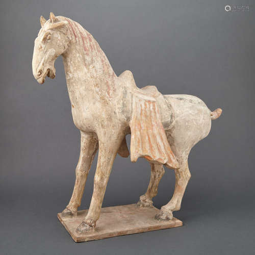 Chinese Painted Pottery Figure of a Horse Tang Dynasty