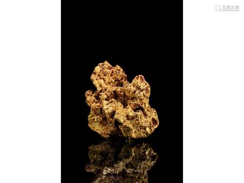 A 308G GOLD NUGGET